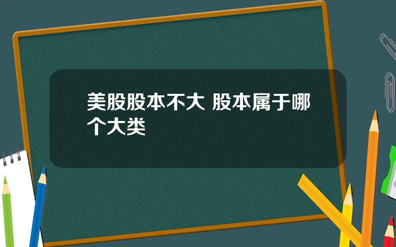 美股股本不大 股本属于哪个大类